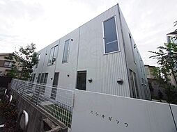 ニシオギソウ 02