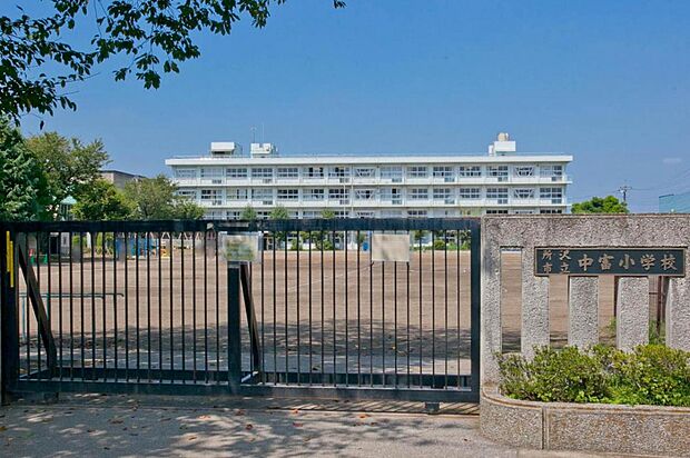 中富小学校（491m）