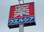 ウエルシア壬生大師店 1041m