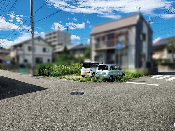 外観：339000055569