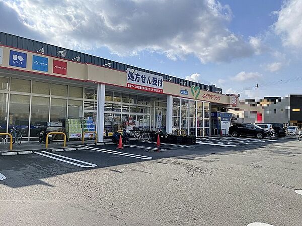 よどやドラッグ高知福井店（1179m）