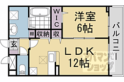 フルール　アムール 1階1LDKの間取り