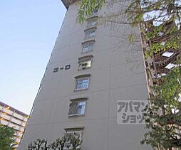 向島ニュータウン　3街区　Ｄ棟