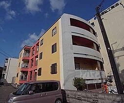 ＰＩＮＥ　ＴＲＥＥ