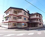 伏見桃山駅より徒歩26分 1階 築39年1ヶ月の賃貸物件