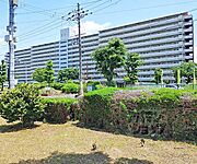 京都市向島市営住宅第九街区９—１棟 8階 築46年5ヶ月の賃貸物件