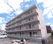 シャトー志水の賃貸物件