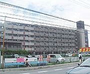 ジュネス神楽田 2階 築37年5ヶ月の賃貸物件