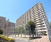 ライオンズマンション京都淀Ａ棟 14階 築37年7ヶ月の賃貸物件
