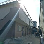 梅の木ハイツの賃貸物件