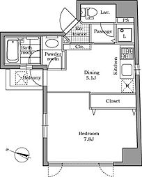 レジディア文京千石 12階1DKの間取り