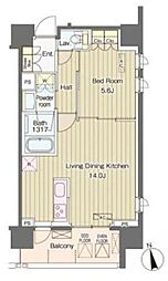 ヴェルデコート西新宿 11階1LDKの間取り