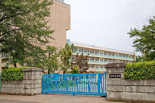 所沢市立林小学校 徒歩10分。 782m