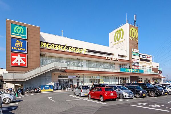 マミーマート所沢山口店 徒歩12分 890m