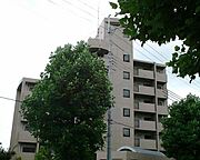 岸辺駅より徒歩15分 7階 築31年1ヶ月の賃貸物件
