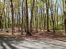 長野県上水内郡信濃町大字野尻