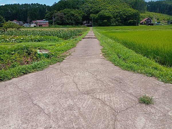 農道（南）