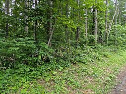 長野県上水内郡信濃町大字野尻3884-156