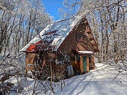 長野県上水内郡信濃町大字野尻