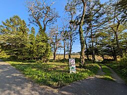 長野県上水内郡信濃町大字野尻
