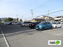 17 / 17