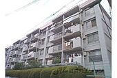 京都市南区吉祥院石原町 5階建 築54年のイメージ