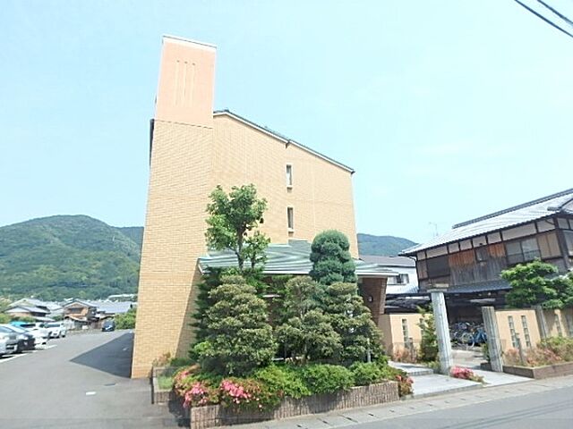 6 / 11