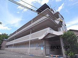 グリーンヴィレッジ