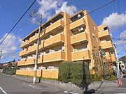 北山駅より徒歩13分 1階 築41年4ヶ月の賃貸物件