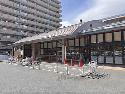 周辺:いそかわパケット 十条店まで800メートル 周辺:いそかわパケット 十条店まで800メートル