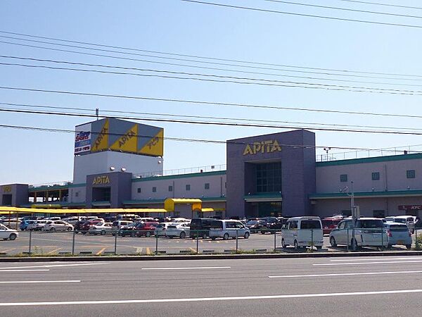 画像18:アピタ新潟西店(650m)