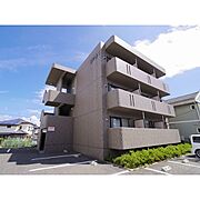 メゾン柏矢の賃貸物件