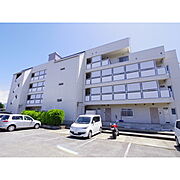 サンライズいなば 4階 築38年9ヶ月の賃貸物件