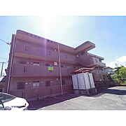 ベルクラント高田 1階 築29年9ヶ月の賃貸物件