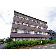 コーポビックウェーブＳ棟 4階 築36年9ヶ月の賃貸物件