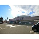 ホームセンター「ケーヨーデイツー北長野通店まで778ｍ」