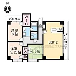 シャトー石山 5階3LDKの間取り