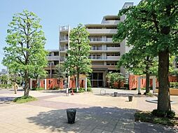 シーズウィッシュ志木　8階