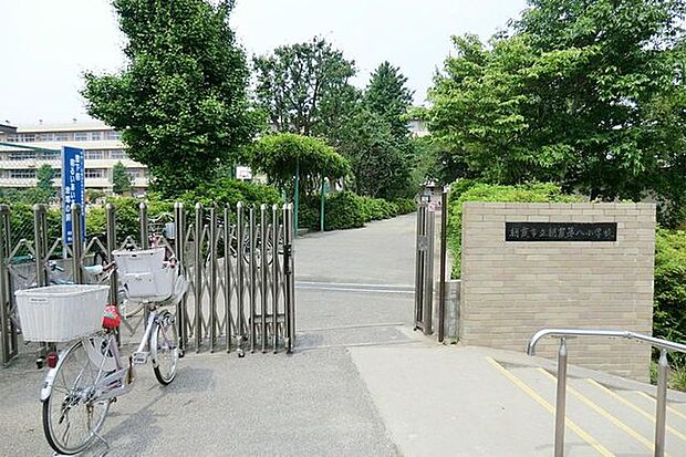 朝霞市立朝霞第八小学校 922m