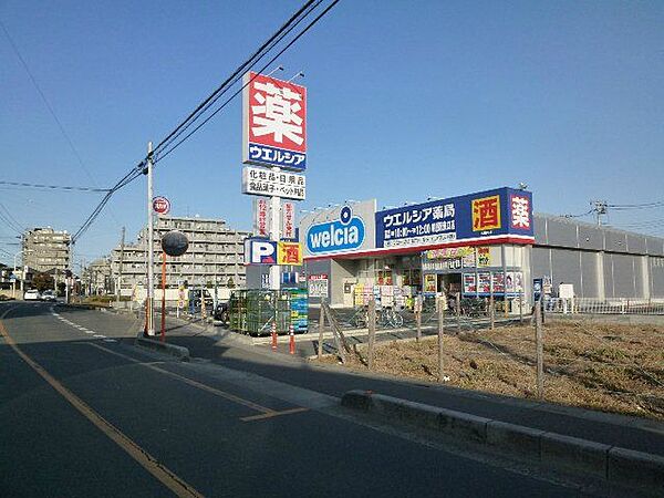 ウエルシア朝霞駅東口店 徒歩17分。 1310m