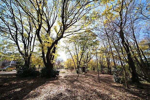 朝霞の森 徒歩9分。 700m
