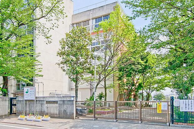 朝霞市立朝霞第六小学校 徒歩9分。 650m