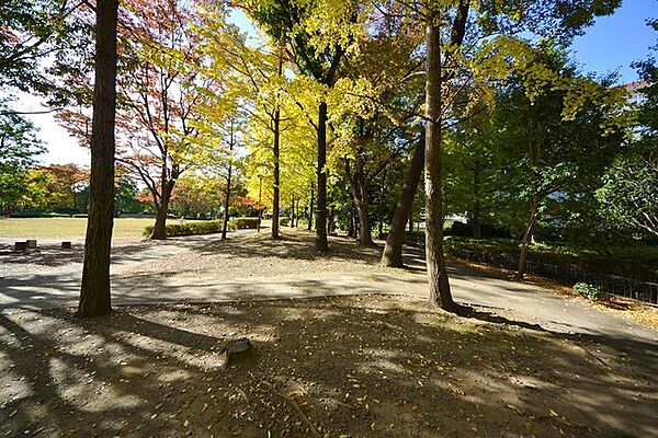 館近隣公園 徒歩7分。 500m