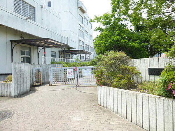 画像8:小学校「小田原市立富士見小学校まで608m」