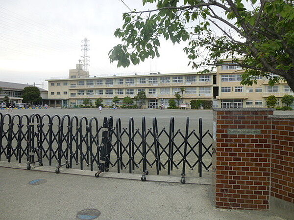 画像20:小学校「小田原市立桜井小学校まで731m」