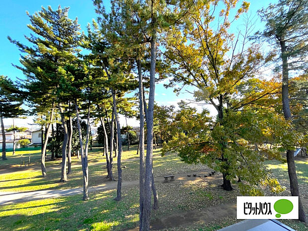 日当たり良好な物件です