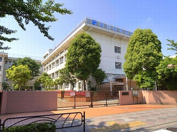 中学校「葛飾区立新小岩中学校まで1100m」