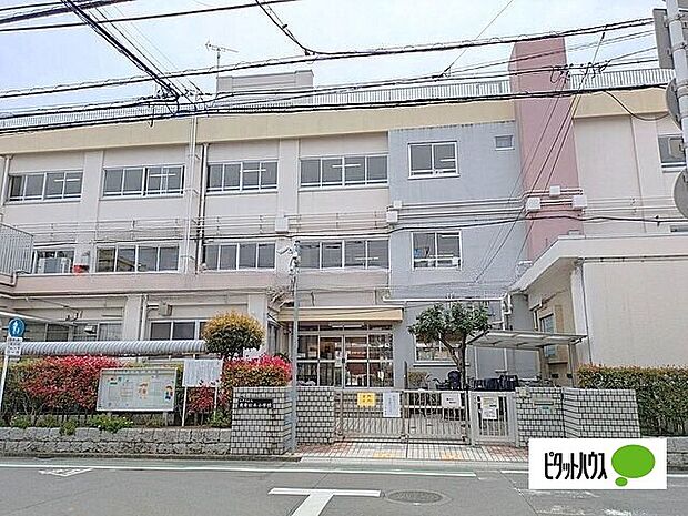 小学校「江戸川区立鹿骨松本小学校まで800m」