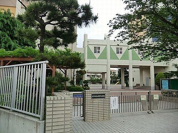 小学校「葛飾区立上小松小学校まで800m」