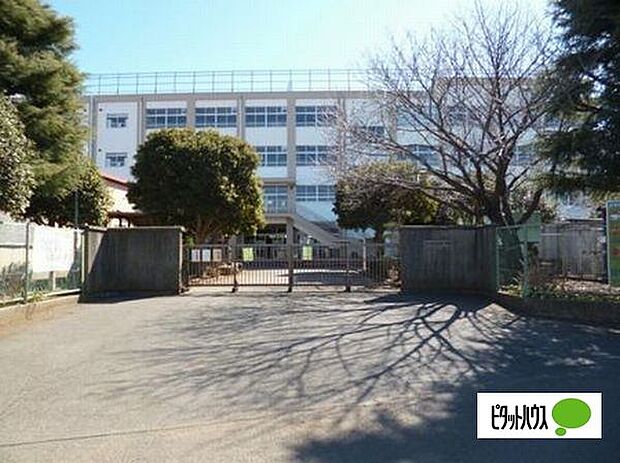 小学校「市川市立柏井小学校まで600m」